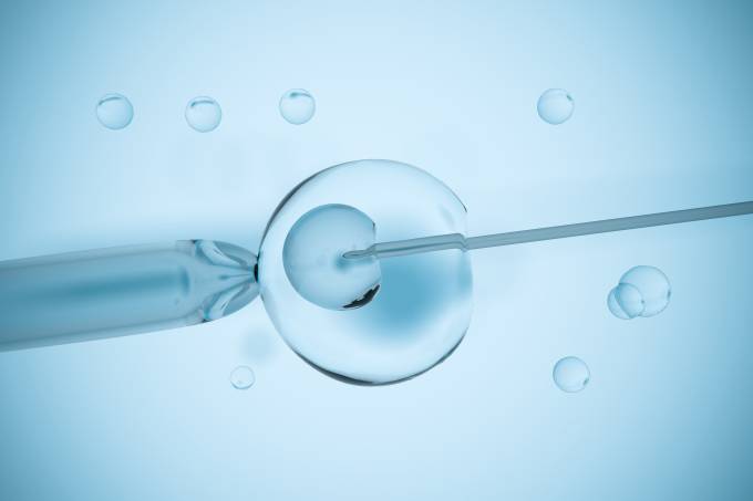 fertilização-em-vitro.jpg